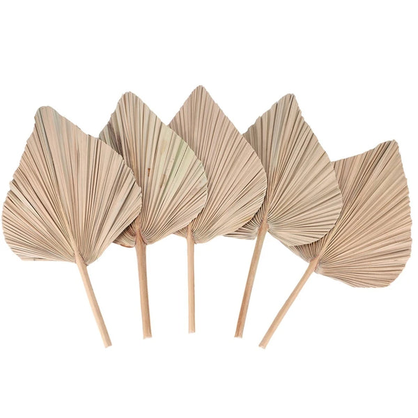 Natural Dried Palm Leaves | Boho Home & Wedding Decor | Set of 5