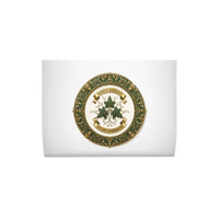 Ivy of Cambridge® soft velvet cushion | 50cm × 50cm
