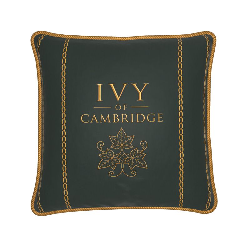 Silk Cushion