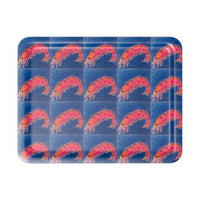 Shrimp Serving Tray — Large 43×33cm