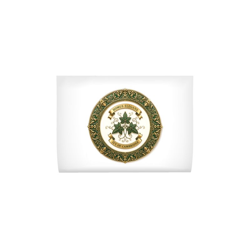 Ivy of Cambridge® Silk Cushion