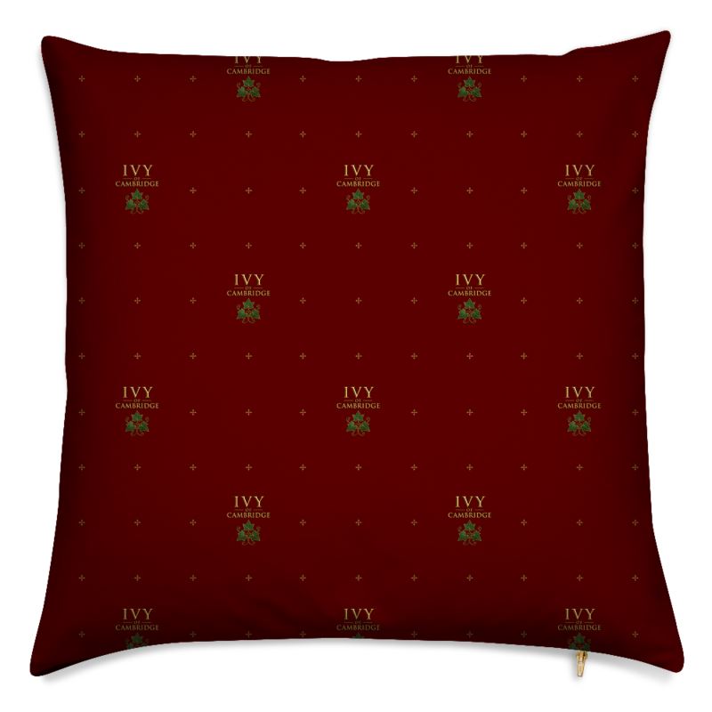 Ivy of Cambridge® Panel Pillow
