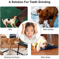 Rubber Chew & Treat Feeder Ball for Dogs & Cats