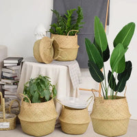 Storage Basket | Handwoven Plant Fibre | Home & Décor