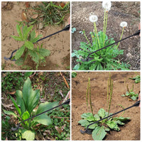 Carbon steel garden hoe