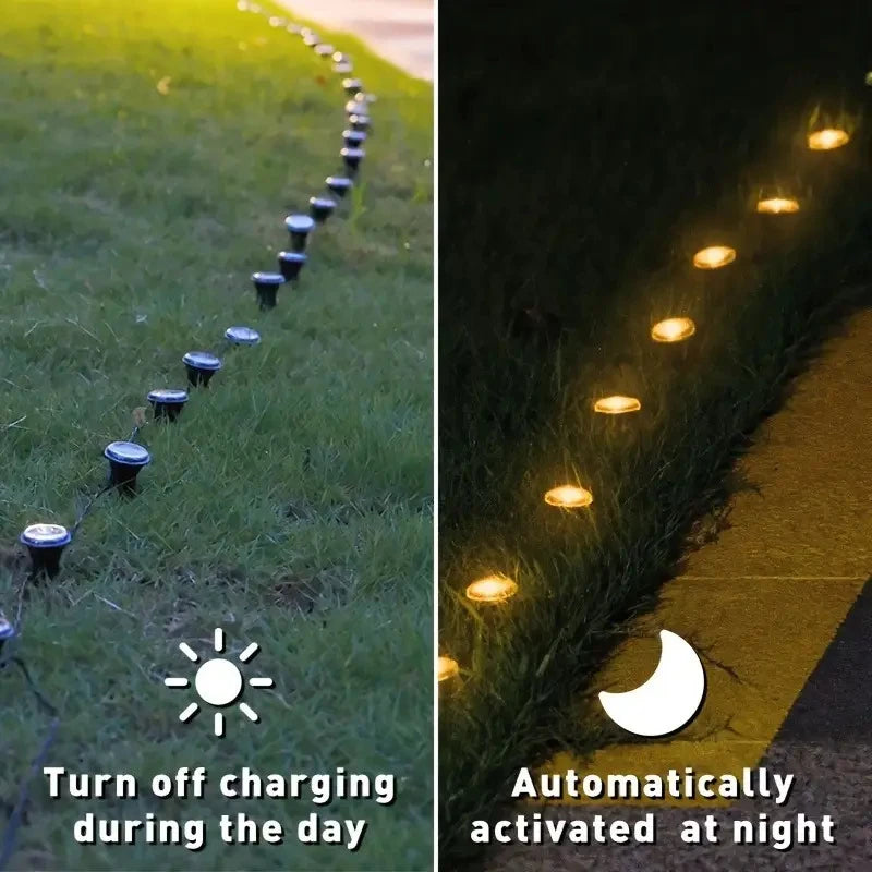 Solar LED Garden Pathway Light
