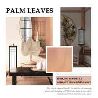 Natural Dried Palm Leaves | Boho Home & Wedding Decor | Set of 5