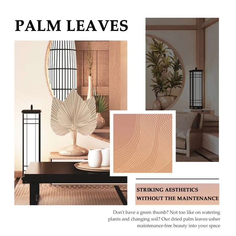 Natural Dried Palm Leaves | Boho Home & Wedding Decor | Set of 5