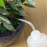 Precision Beak Watering Bottle for Succulents & Plants