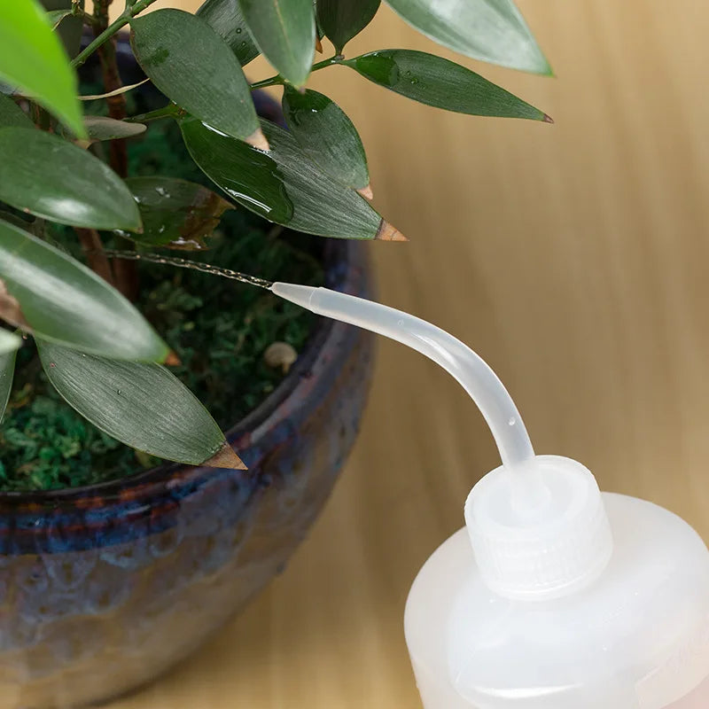 Precision Beak Watering Bottle for Succulents & Plants