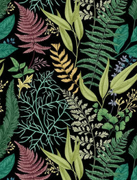 Tropical Rainforest Wallpaper