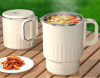 Foldable Travel Kettle with Steaming Rack