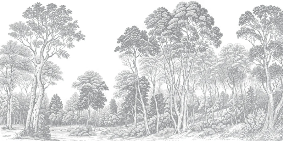 Custom Forest Mural Wallpaper | Made to Measure