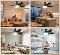 LED Ceiling Fan Light with Remote Control | Dimmable | 42cm & 52cm | White, Black & RGB