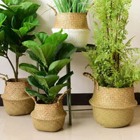 Storage Basket | Handwoven Plant Fibre | Home & Décor