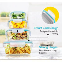 Borosilicate glass lunch box