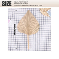 Natural Dried Palm Leaves | Boho Home & Wedding Decor | Set of 5