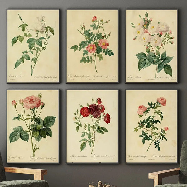Antique botanical wall art print