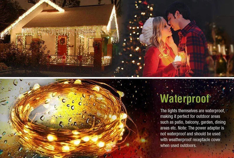 Garden Fairy String Lights