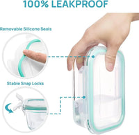Borosilicate glass lunch box