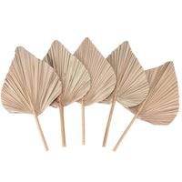 Natural Dried Palm Leaves | Boho Home & Wedding Decor | Set of 5