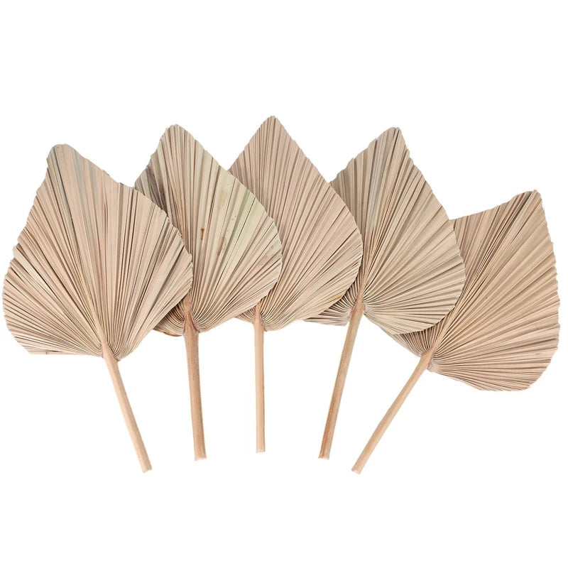 Natural Dried Palm Leaves | Boho Home & Wedding Decor | Set of 5