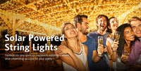 Garden Fairy String Lights