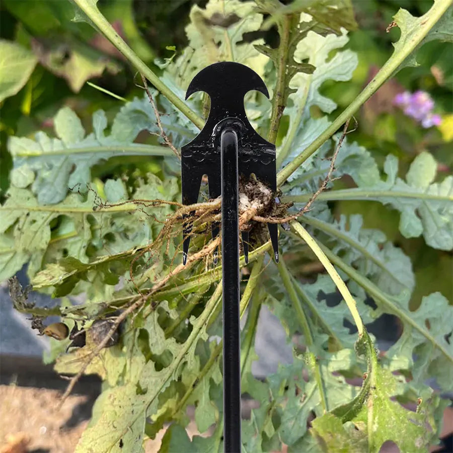Carbon steel garden hoe
