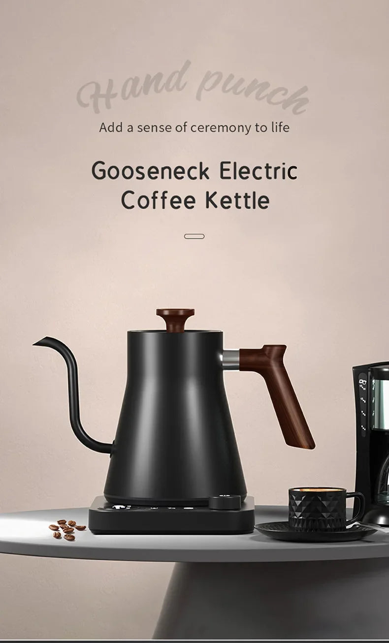 Electric Gooseneck Kettle 900ML