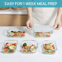 Borosilicate glass lunch box