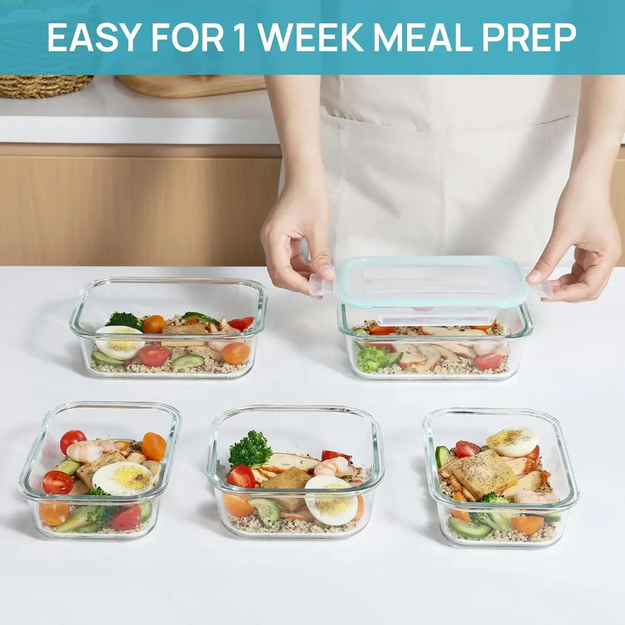 Borosilicate glass lunch box