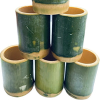 Natural bamboo tube cup