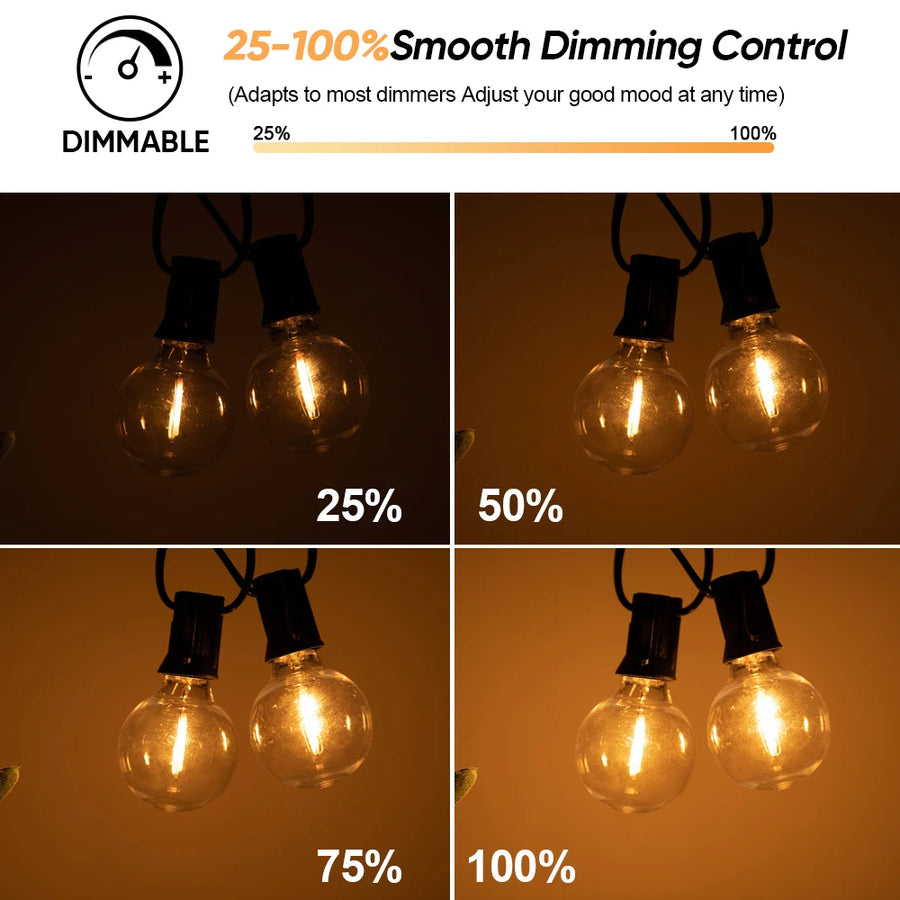 G40 Outdoor Solar String Lights