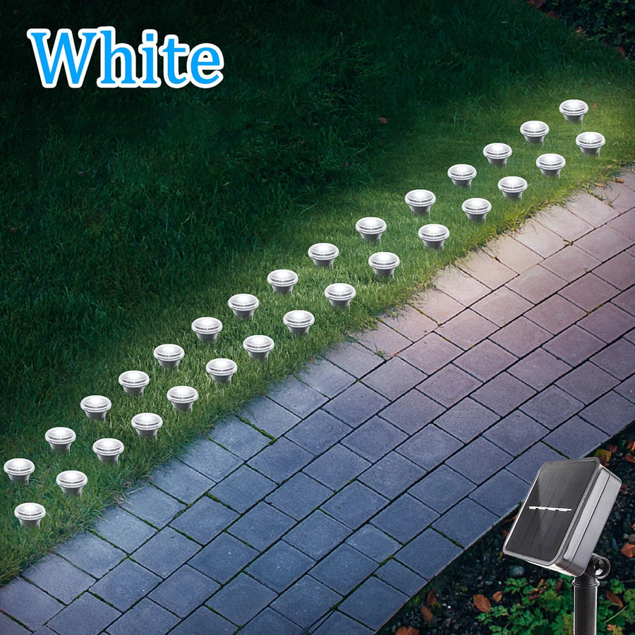 Solar LED Garden Pathway Light