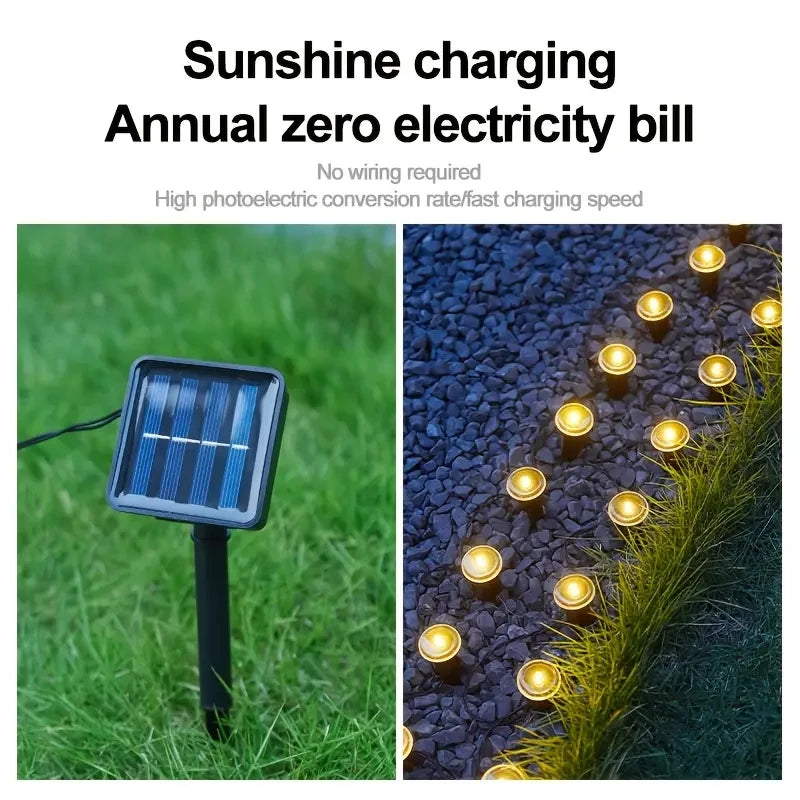 Solar LED Garden Pathway Light