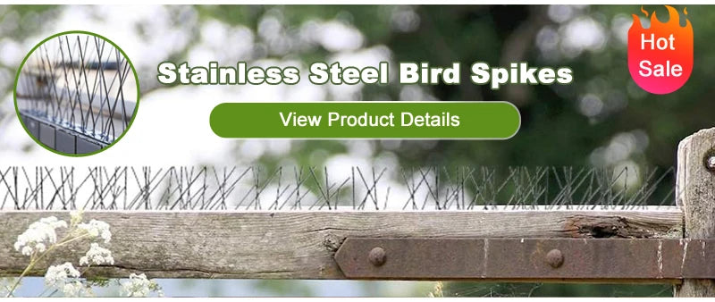 Carbon steel garden hoe