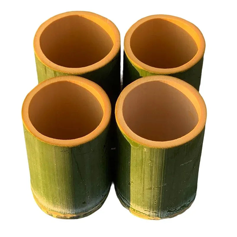 Natural bamboo tube cup