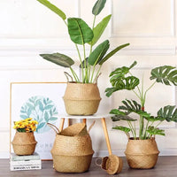 Storage Basket | Handwoven Plant Fibre | Home & Décor