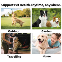 Disposable Pet Finger Toothbrush Wipes — For Dogs & Cats