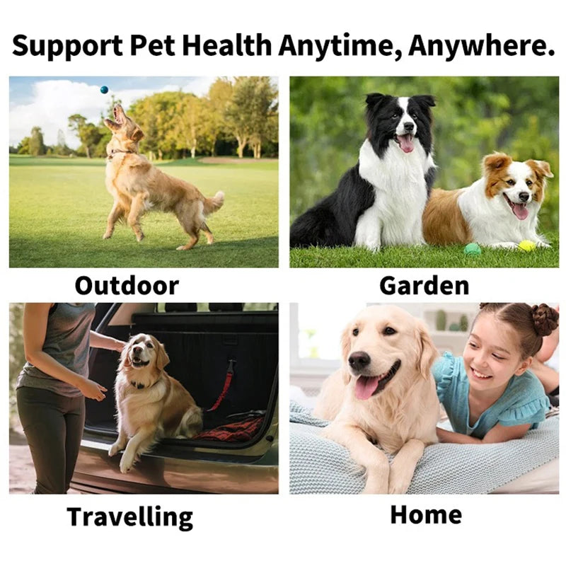Disposable Pet Finger Toothbrush Wipes — For Dogs & Cats