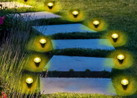 Solar LED Garden Pathway Light