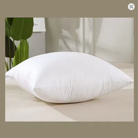 PP Cotton Cushion Insert — Square Pillow Core, 35–50cm