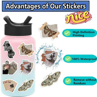 Dark academia sticker pack — 50 waterproof decals