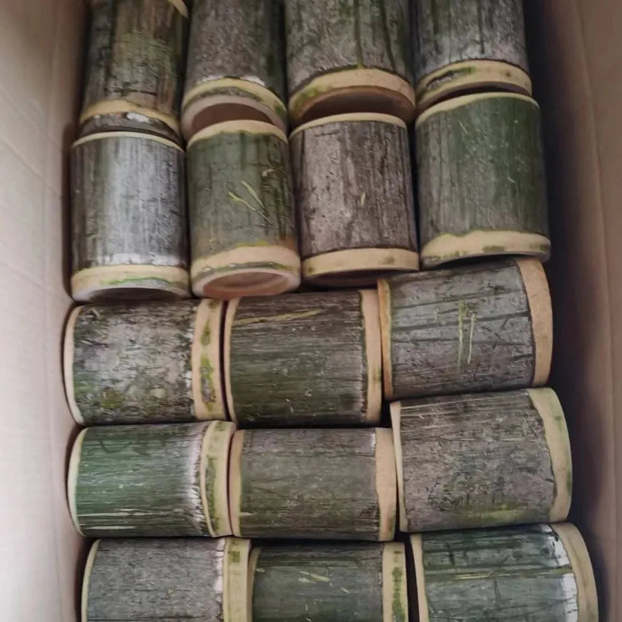 Natural bamboo tube cup