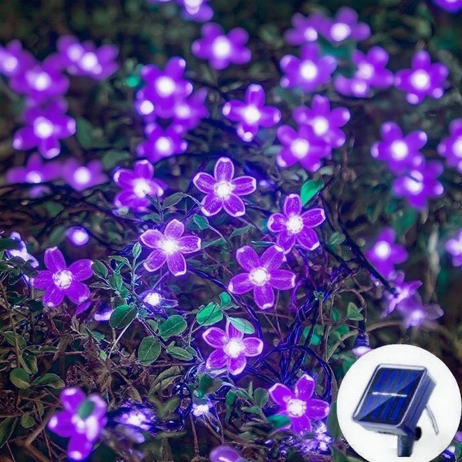Solar Cherry Blossom String Lights