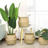 Storage Basket | Handwoven Plant Fibre | Home & Décor
