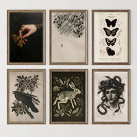 Dark academia canvas print
